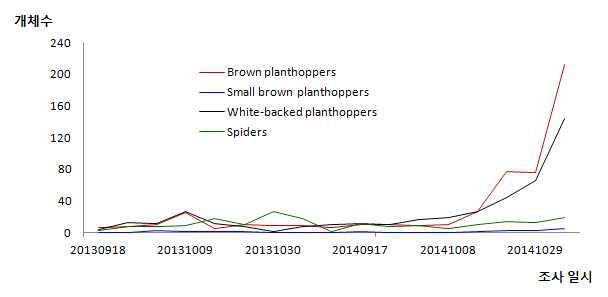 2013~2014년 벼멸구, 애멸구, 흰등멸구 끈끈이 카드 조사 개체수 변동(Tarash Kanchanewar 지역)