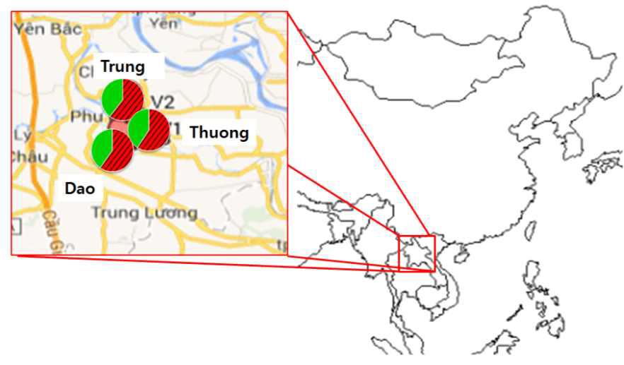 파이 차트로 나타낸 2012년 베트남 3개 애멸구 개체군의 유전적 구조