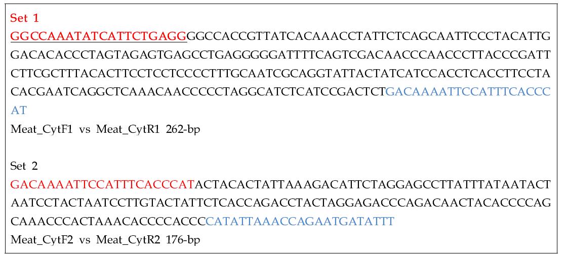 표 47의 범용 PCR primer set 1로 증폭하여 결정한 닭의 CYTB 유전자 절편의 서열과 set 2로 증폭된 돼지의 CYTB 절편의 염기서열