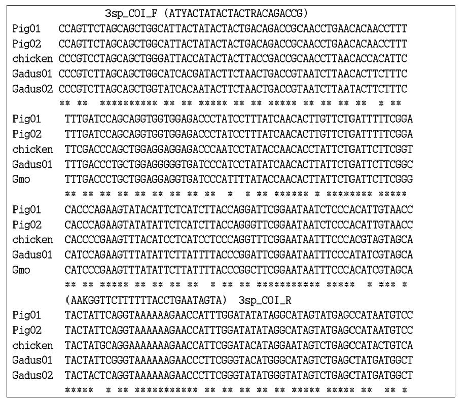 닭과 돼지, 대구, 명태에서 보고된 mtDNA COI 유전자 서열의 정렬을 통해 고안한 범용 프라이머의 위치와 서열