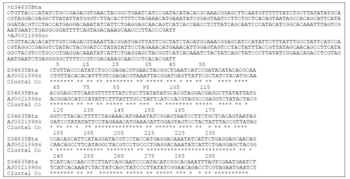 소(Bta)와 돼지(Ss)의 mtDNA CYTB 서열과 다중 정렬.