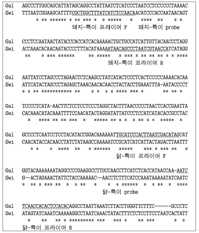 돼지와 닭 식별용 종-특이적 probe 제작용 mtDNA ND5 유전자 서열의 정렬