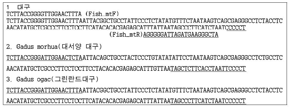 어육-특이 프라이머 세트를 이용하여 증폭한 PCR 산물로부터 결정한 DNA 서열과 프라이머의 결합 위치