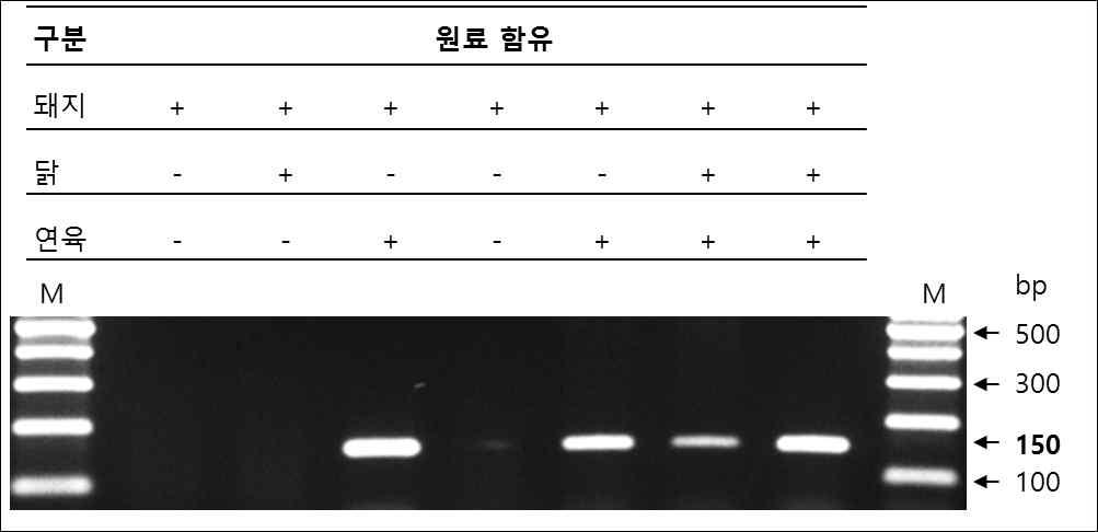 어육 특이 프라이머 세트를 이용한 여러 가지 혼합조건의 가공육에 대한 PCR 시험