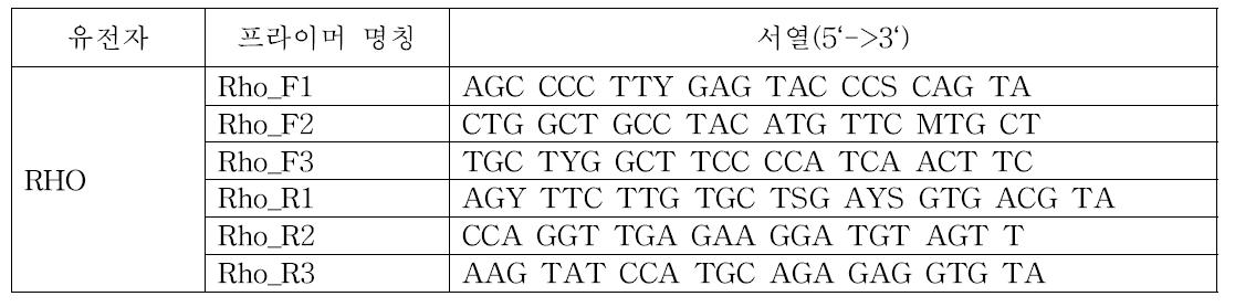 RHO 유전자에서 개발한 범용 프라이머