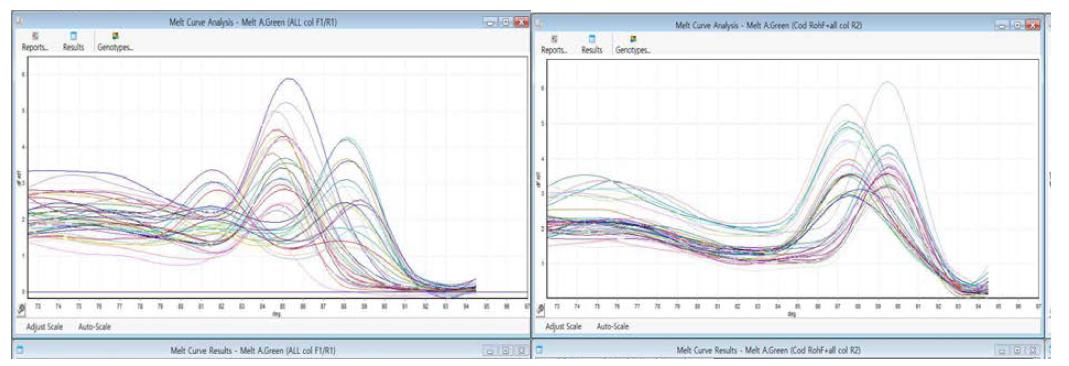 NEUROD1과 RHO 유전자의 real-time PCR에서의 melting-curve 분석 결과