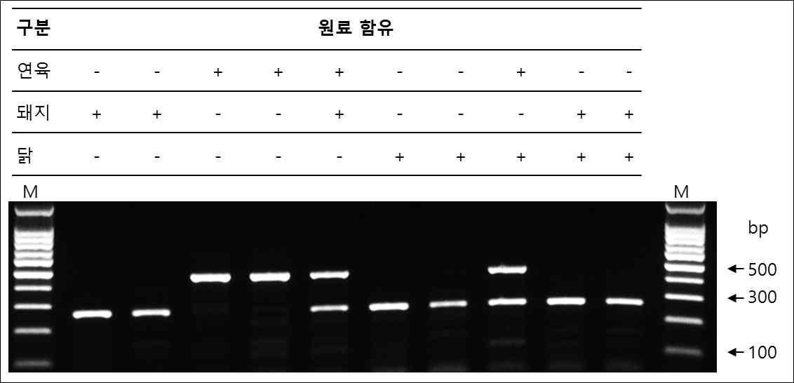 돼지, 닭, 어육 차등적 프라이머 세트를 이용한 여러 가지 혼합조건의 가공육에 대한 PCR 시험