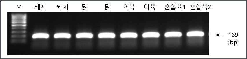혼합육제품(소시지) 공통 프라이머 세트(표 12. Meat_RhoF, Meat_RhoR)를 이용한 PCR 시험 예.