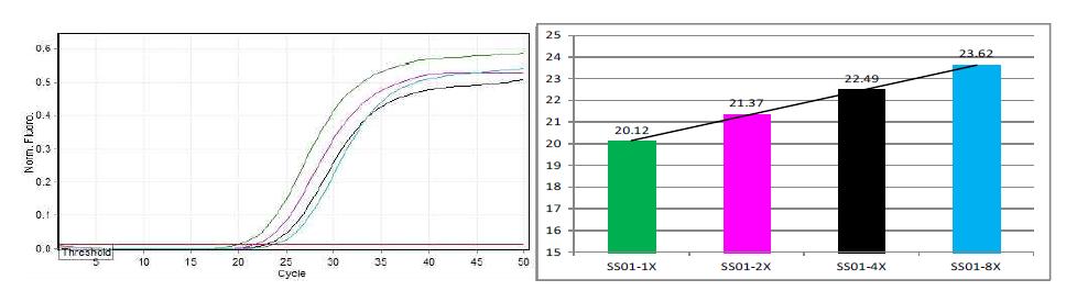 혼합육제품(소시지) 공통 프라이머 세트를 이용한 SS01 시료의 희석배수에 따른 실시간 PCR 시험