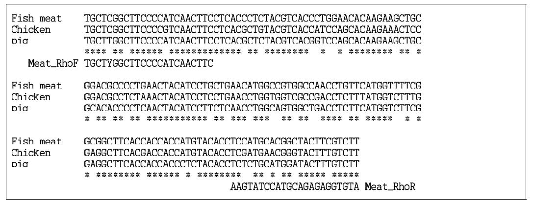 혼합육제품(소시지) 공통 프라이머 세트(Meat_RhoF, Meat_RhoR)를 이용하여 증폭한 PCR 산물의 DNA 서열과 프라이머의 결합 위치