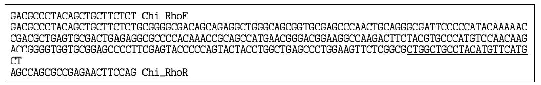 닭 특이 프라이머(Chi_RhoF, Chi_RhoR)를 이용하여 증폭한 PCR 산물의 DNA 서열과 프라이머의 결합 위치.