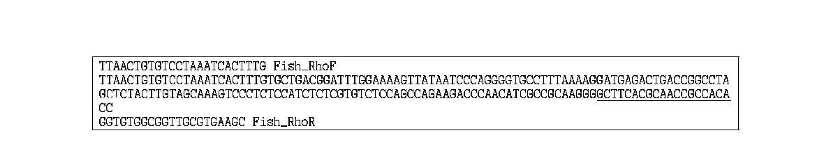 어육 특이 프라이머(Fish_RhoF, Fish_RhoR) 세트를 이용하여 증폭한 PCR 산물의 DNA 서열과 프라이머의 결합 위치.