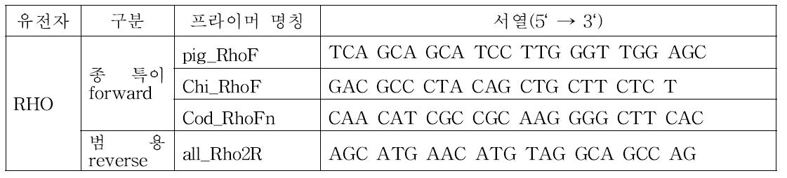 RHO 유전자에서 정량 분석을 위해 선정된 범용, 종 특이 프라이머 세트