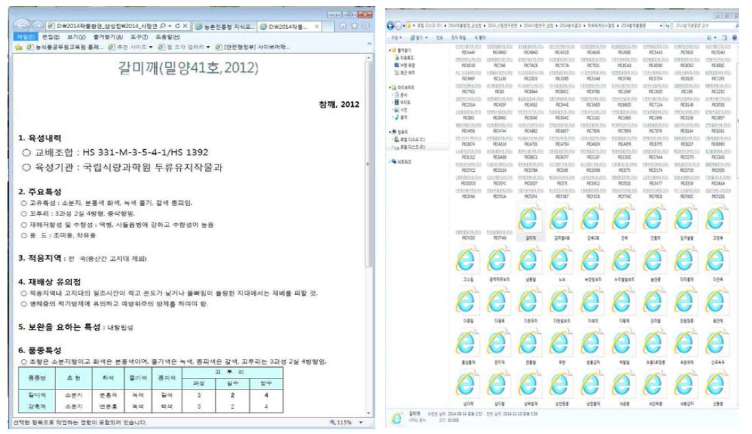 작물 품종특성 내용(예) 및 DB 파일