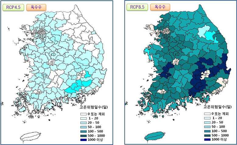 기후변화 시나리오에 따른 미래 옥수수 고온해 위험성 지도