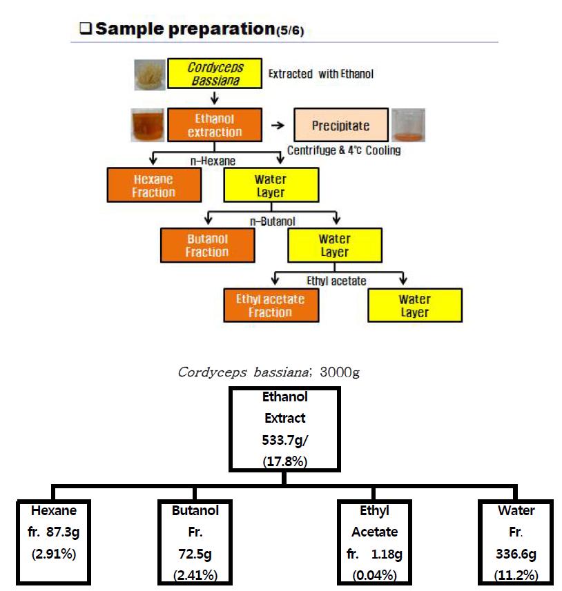 노랑다발동충하초(Cordyceps bassiana)의 etanol extract에 의한 각각의 수율.
