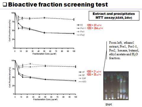 Inhobition of viability of cancer cell (A549 cell) by C. bassiana fractions.