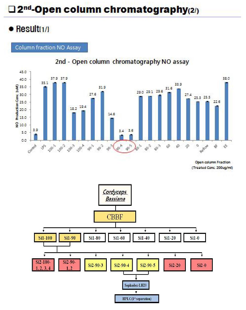 Si2-90-4 fraction 및 Si2-90-5 fraction의 분리 및 정제과정.