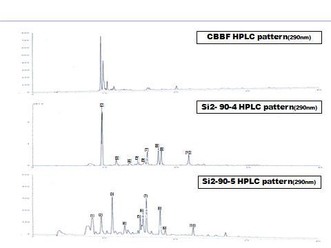 CBBF(부타놀 분획물), Si2-90-4 fraction 및 Si2-90-5 fraction의 HPLC 결과.