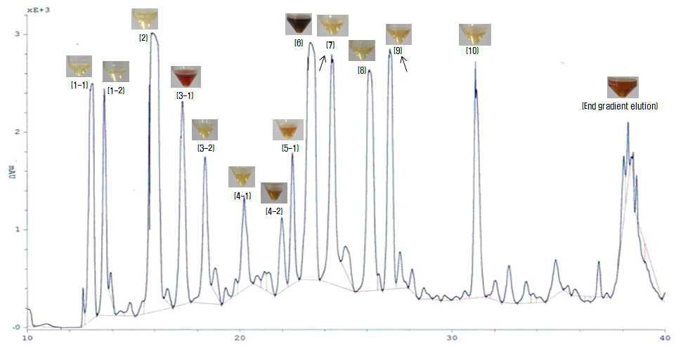 HPLC로 분리한 10개 peak의 양(quantity) 및 각각의 색깔.