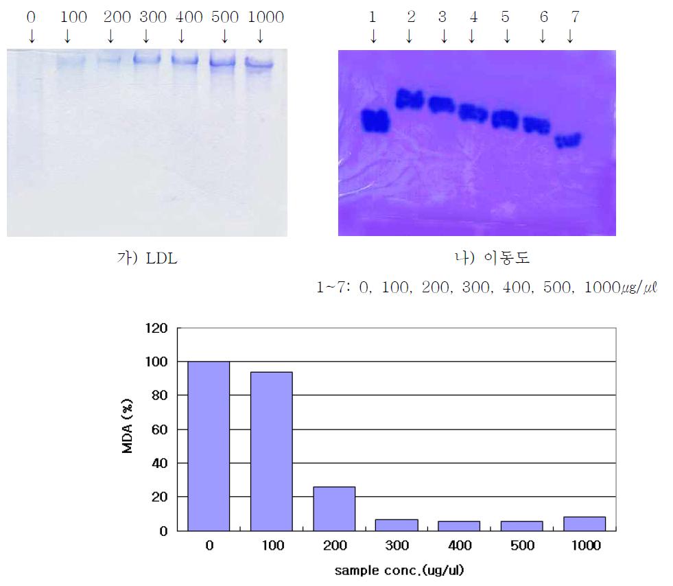 Protection of Apo B-100 of LDL by Cordyceps pruinosa ethyl acetate fraction against to LDL oxidation & Mobility changes with addition of ethyl acetate fraction from Cordyceps pruinosa on agarose gel electrophoresis.