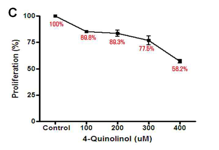 Inhibition of nitrite production, iNOS(A) and COX-2 protein expression(B) by 4-quinolinol.