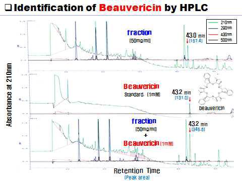 HPLC를 이용하여 노랑다발동충하초 fraction에 Beauvericin이 함유되어 있음을 확인한 실험