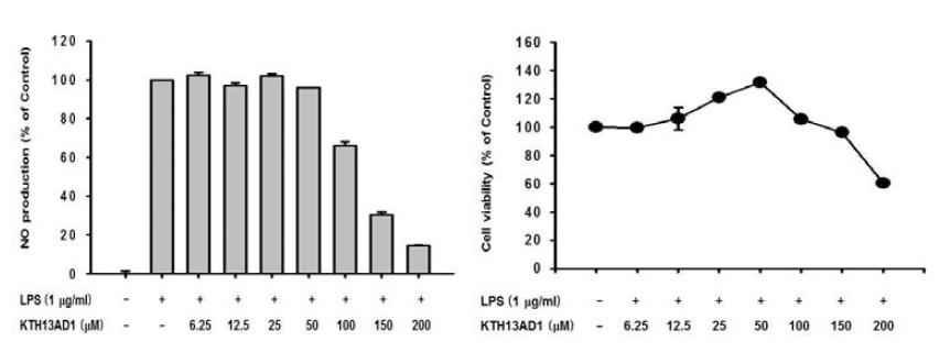 KTH-13AD-1의 NO production level과 세포독성 효능 평가