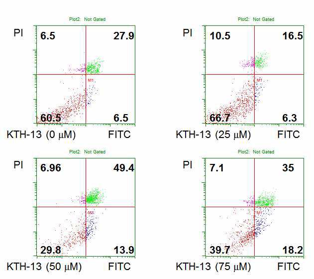 Annexin V assay 를 통한 세포사멸에 대한 KTH-13의 농도의존성 평가