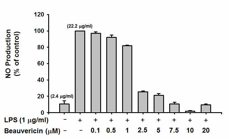 Beauvericin의 NO억제 항염 실험