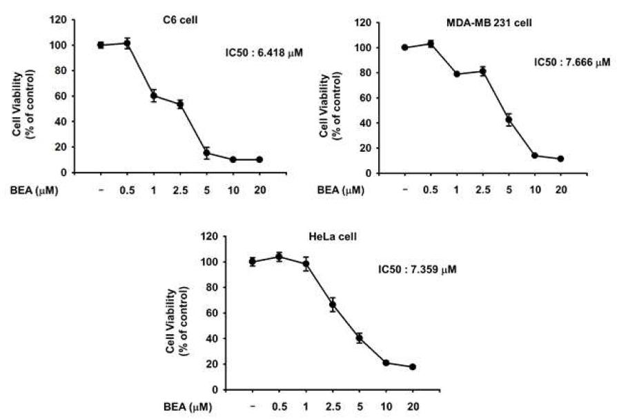 Beauvericin의 암세포에서의 세포 독성 실험