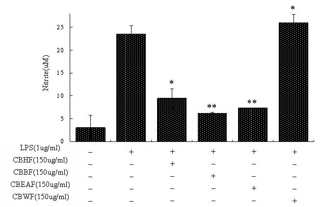 Effect of fractions from Cordyceps bassiana on LPS-induced NO production