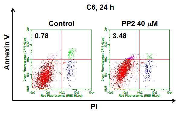PP2에 의한 세포자살의 변화