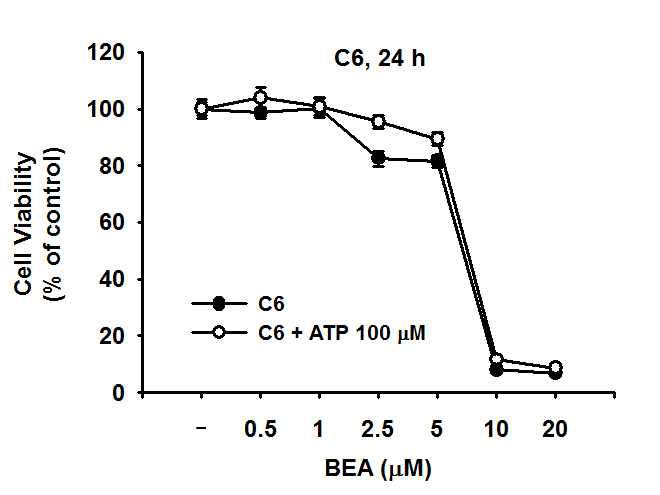 ATP 농도에 의한 Beauvericin의 세포독성 변화
