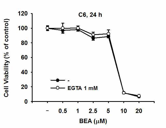 칼슘 농도에 의한 Beauvericin의 세포독성 변화