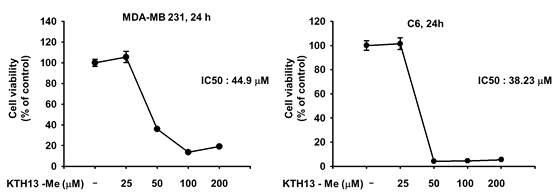 KTH13-Me의 MDA-MB 231 cell 과 C6 cell 에서 세포독성 확인