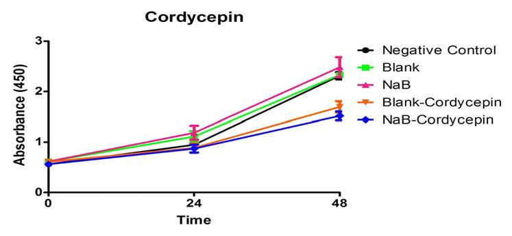 Cordycepin의 세포독성 분석