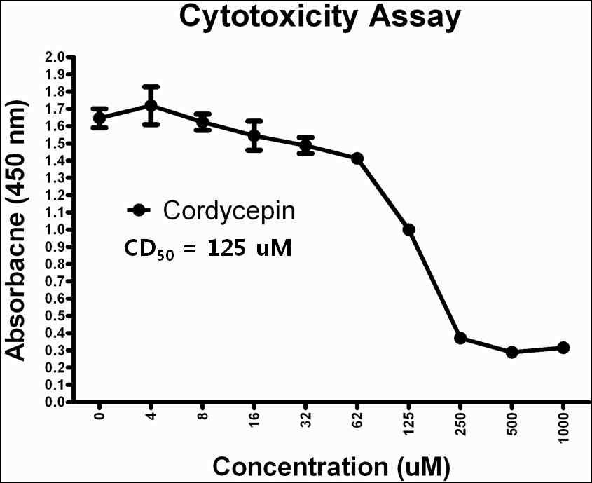 Cordycepin의 세포독성 효과 및 ID50