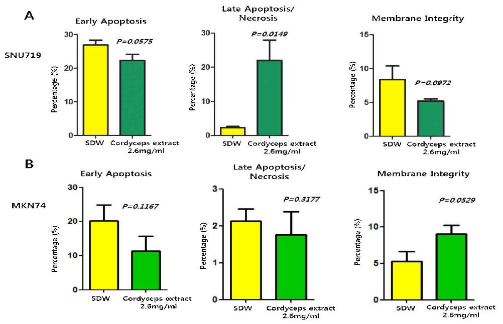 동충하초 추출물의 CD50 값에 의한 SNU719 세포사멸 영향. EBV양성 위암세포주(SNU719)와 EBV음성 세포주(MKN74)에 대한 동충하초 추출물의 세포사멸 유도 양상이 다르게 나타남.