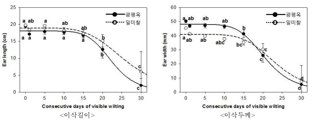 유수형성기 한발증상지속일수에 따른 옥수수 이삭의 길이와 두께 변화