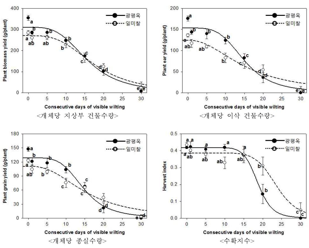 유수형성기 한발증상지속일수에 따른 옥수수 개체당 수량과 수확지수 변화