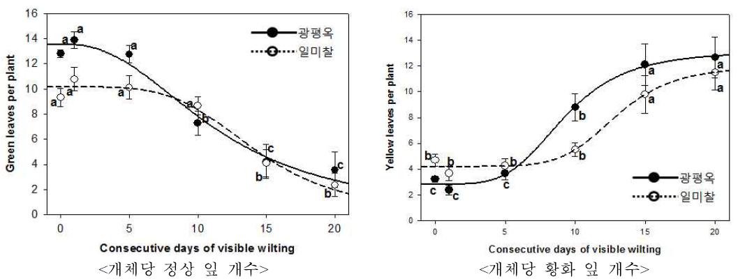 개화기 한발증상지속일수에 따른 정상 잎과 황화 잎 개수 변화