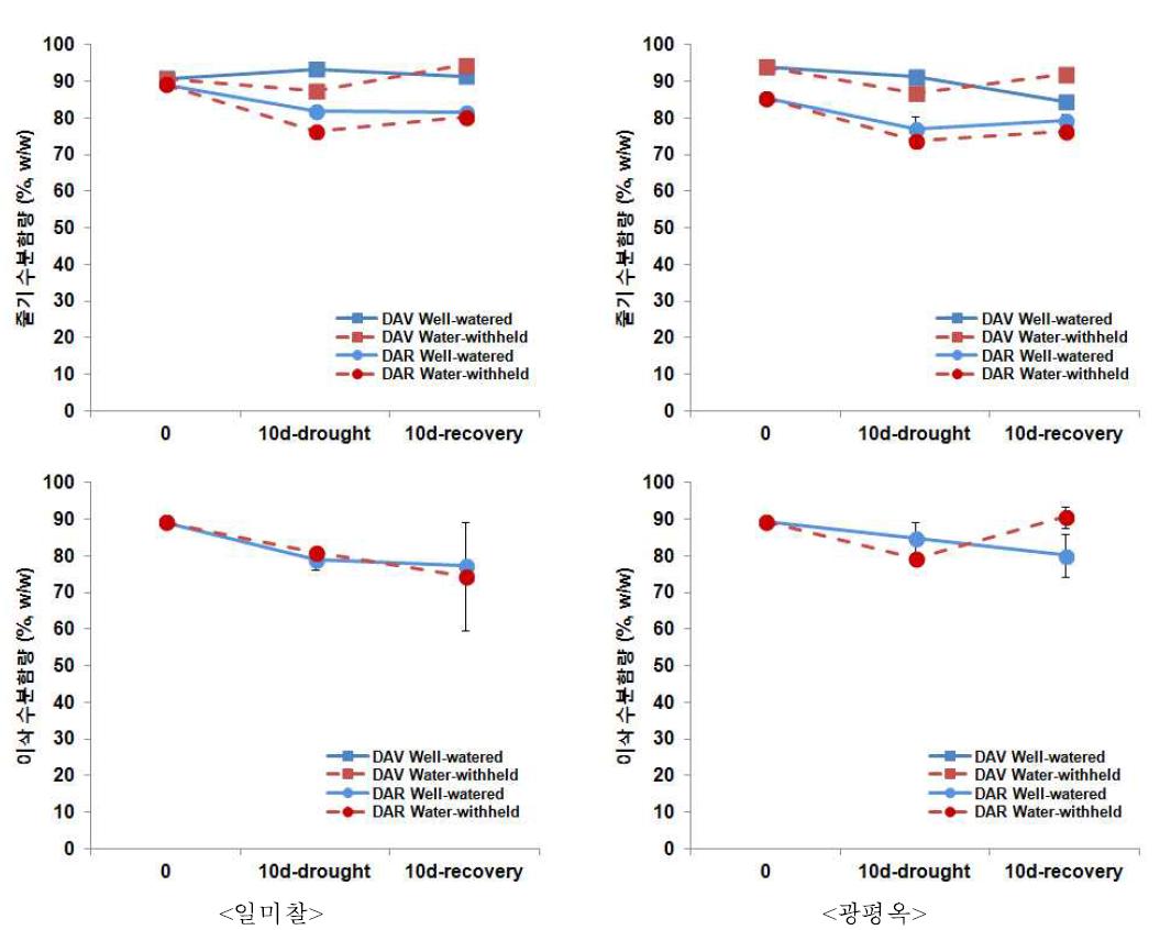 유수형성기와 개화기 한발에 의한 줄기(위)와 이삭(아래)의 수분함량 변화