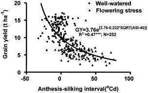 Grain yield vs. anthesis-silking interval.