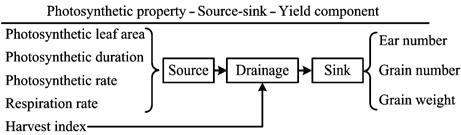 The secondary hierarchy of the 