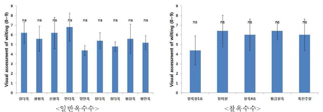 유수형성기 한발처리구와 정상수분구의 주요 품종별 위조정도 비교