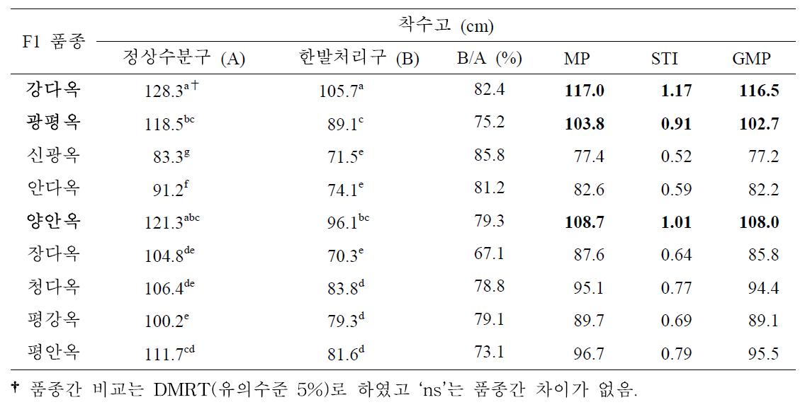 유수형성기 한발처리구와 정상수분구 착수고에 대한 일반옥수수 품종간 비교