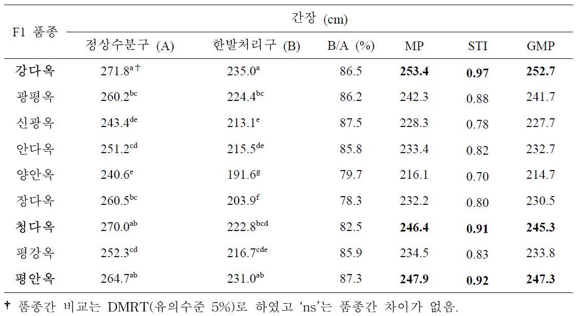 유수형성기 한발처리구와 정상수분구 간장에 대한 일반옥수수 품종간 비교