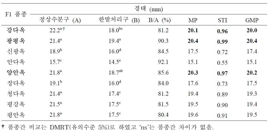 유수형성기 한발처리구와 정상수분구 경태에 대한 일반옥수수 품종간 비교