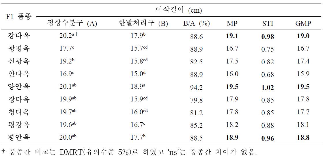 유수형성기 한발처리구와 정상수분구 이삭길이에 대한 일반옥수수 품종간 비교